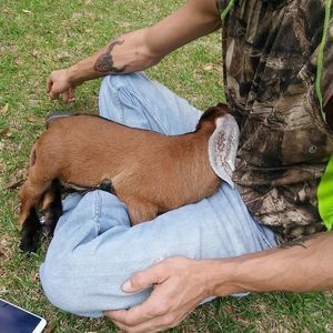 Meet your Posher, Jonathan